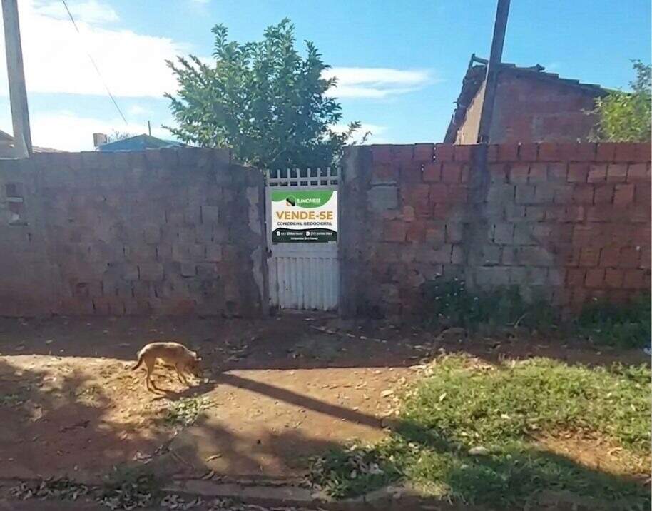 Terreno à venda no Vila Alegre:
