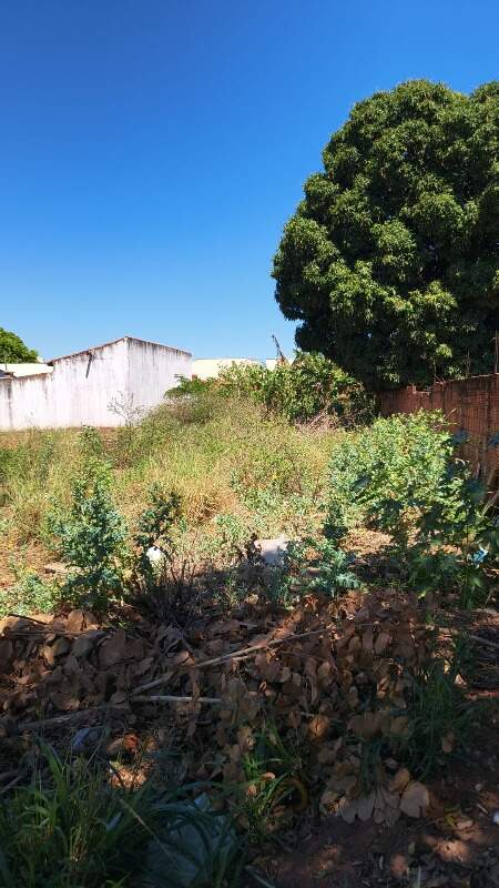 Terreno à venda no Jardim Nova Independencia: