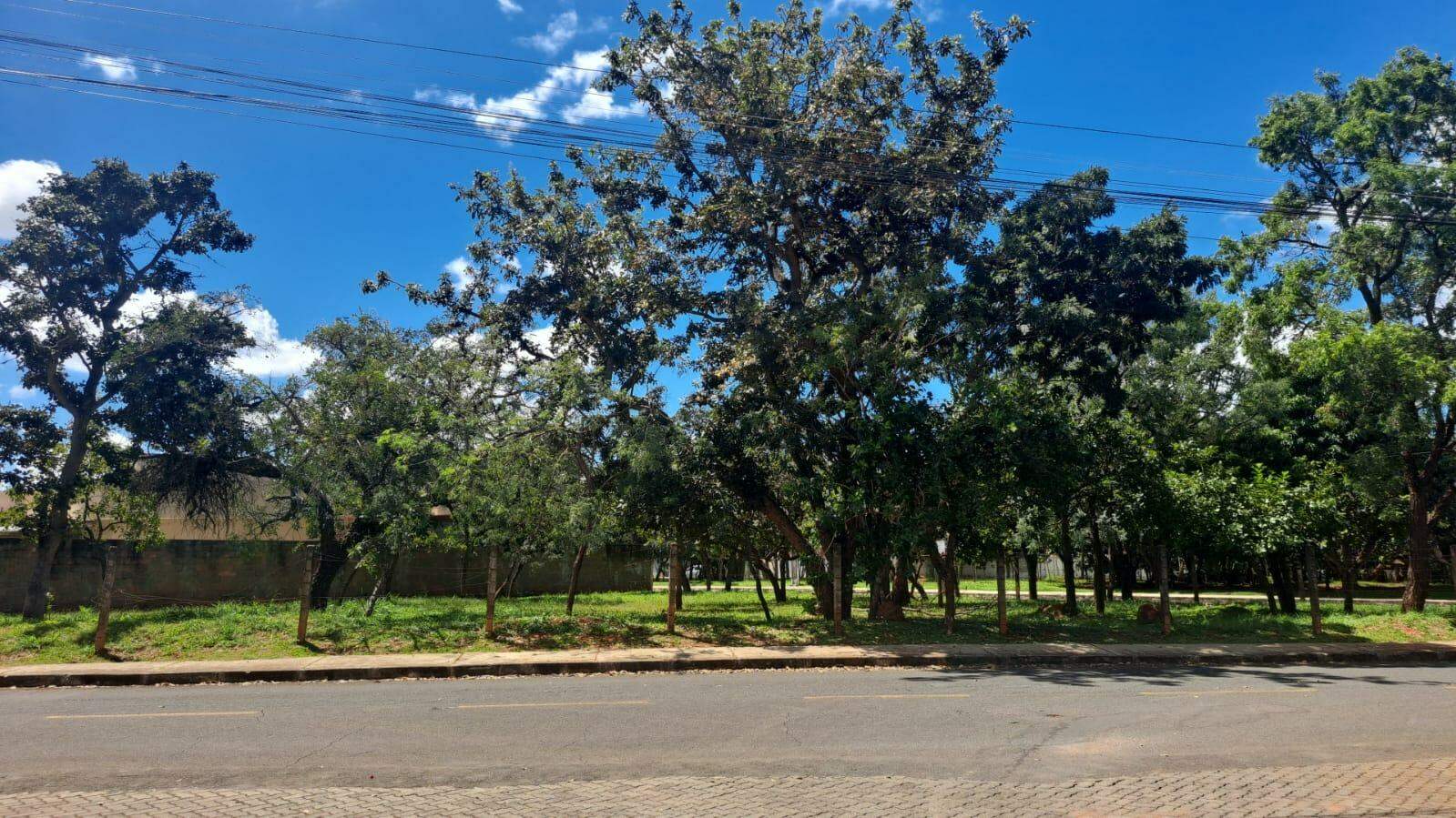 Imobiliária Setor Habitacional Jardim Botânico -Lote Setor Habitacional Jardim Botânico à venda: 