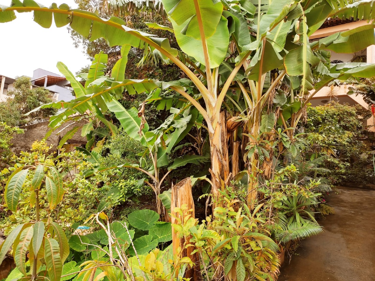 Casa à venda no Eldorado: 