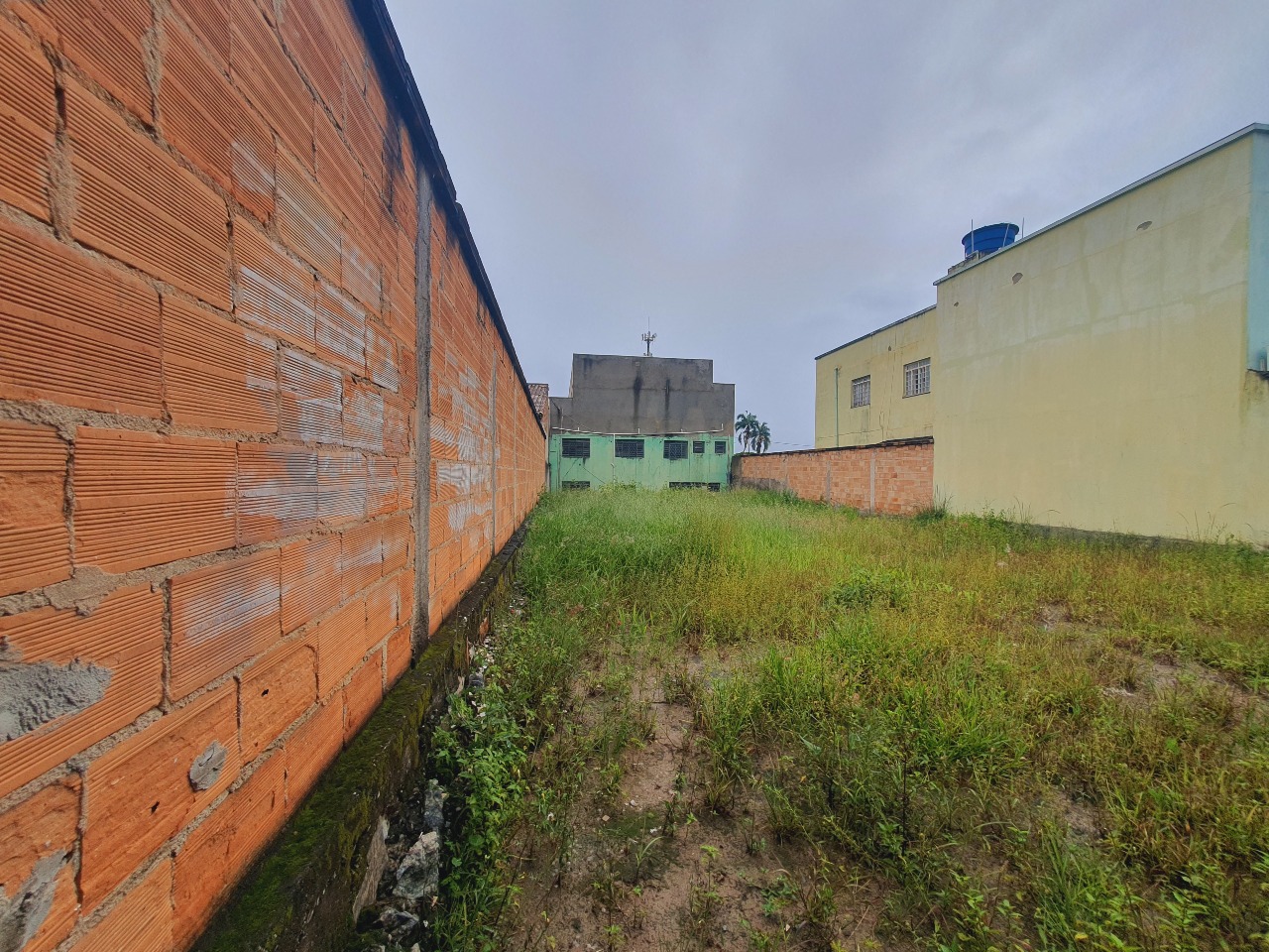 Lote para aluguel no Vila Cristina: 