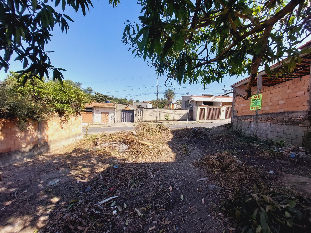 Lote para aluguel no Campos Elíseos: 