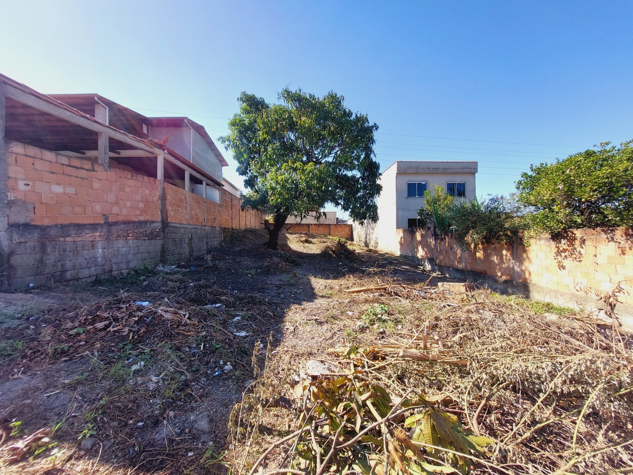 Lote para aluguel no Campos Elíseos: 