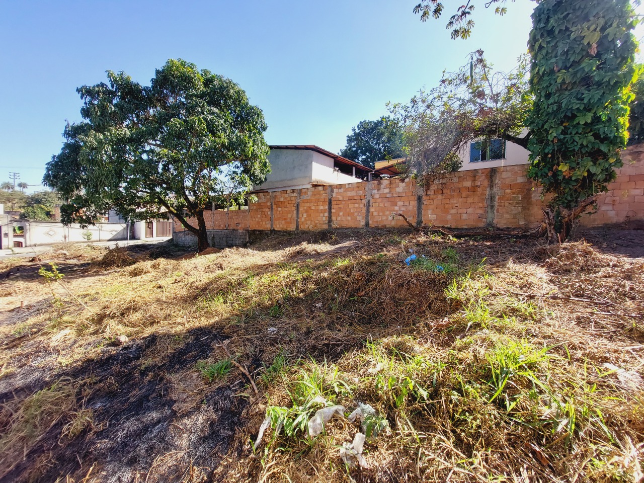 Lote para aluguel no Campos Elíseos: 