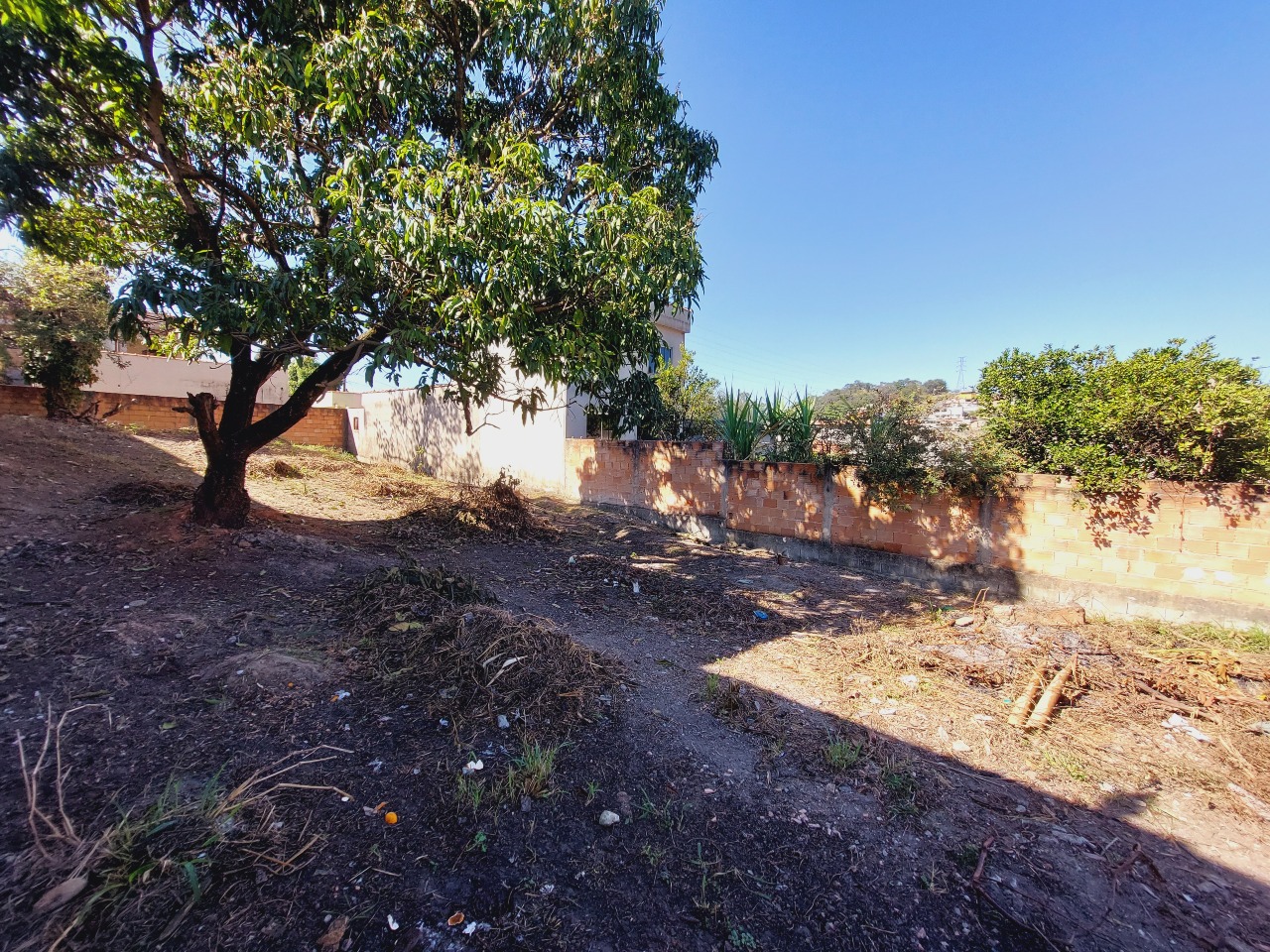 Lote para aluguel no Campos Elíseos: 