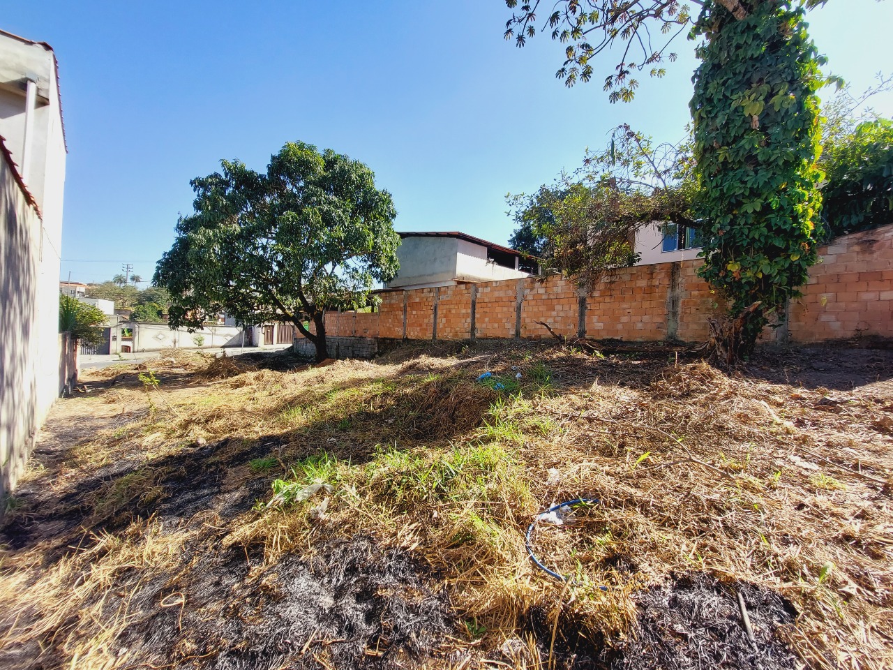 Lote para aluguel no Campos Elíseos: 