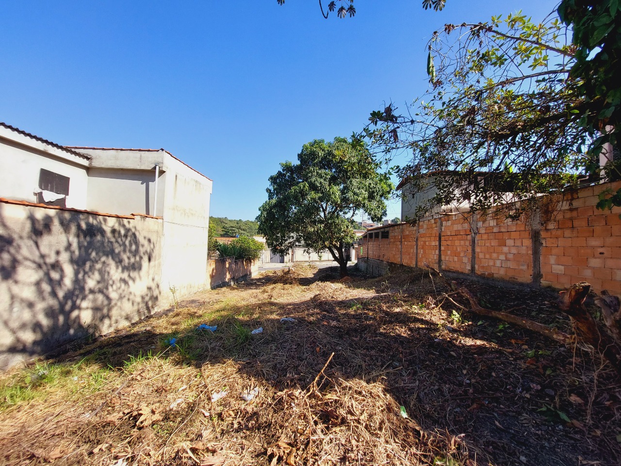 Lote para aluguel no Campos Elíseos: 