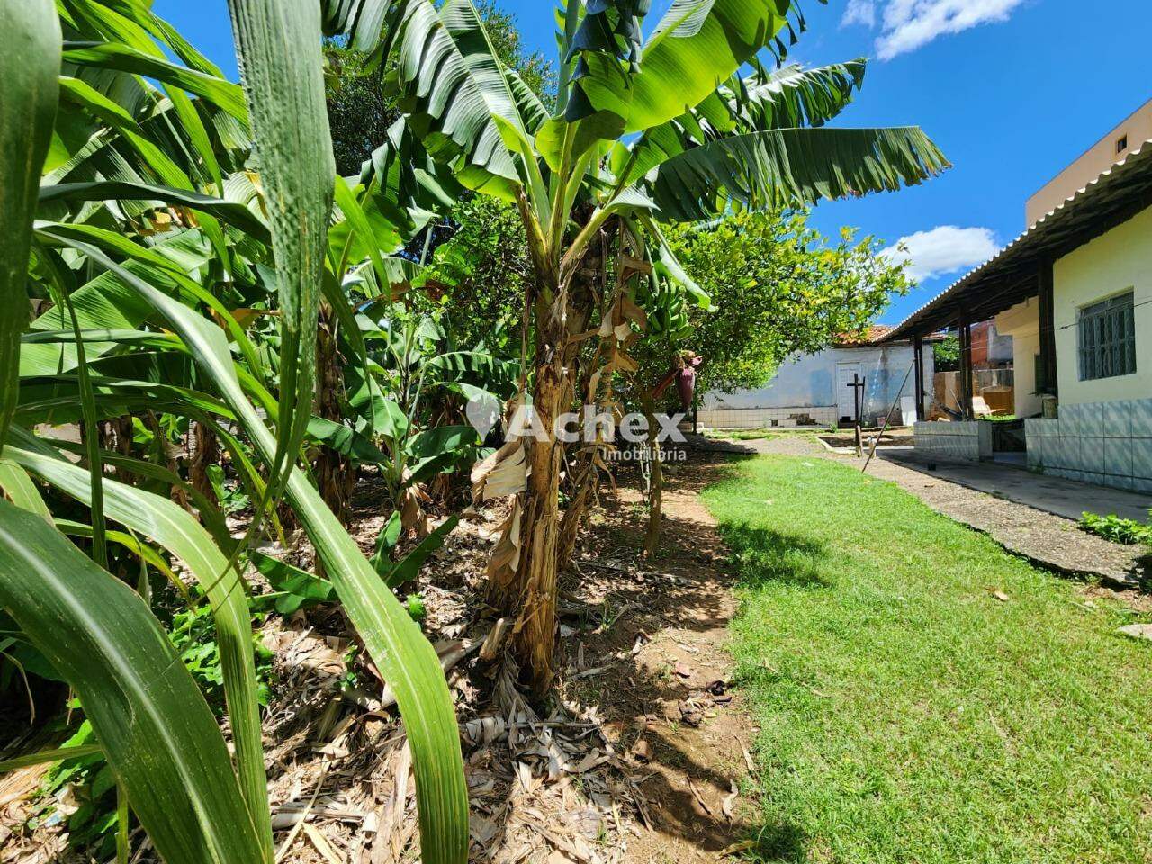 Casa à venda com 1 quarto, 1030m² - Foto 10