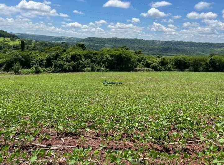 Fazenda à venda no Centro (São Roque): 