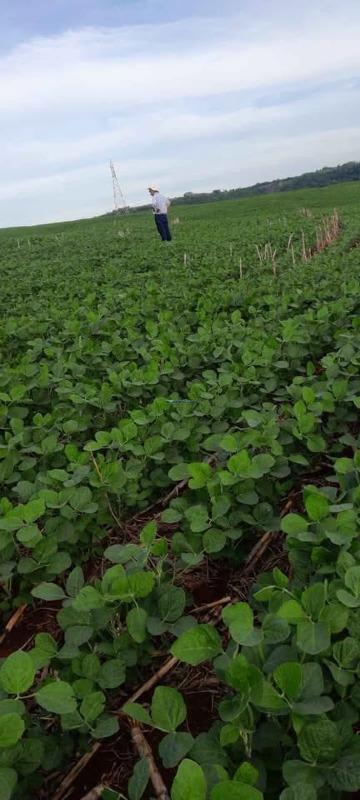 Fazenda à venda no Centro (São Roque): 