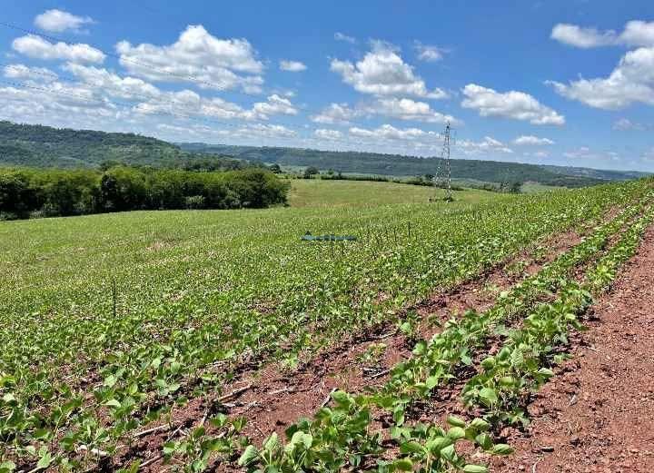 Fazenda à venda no Centro (São Roque): 