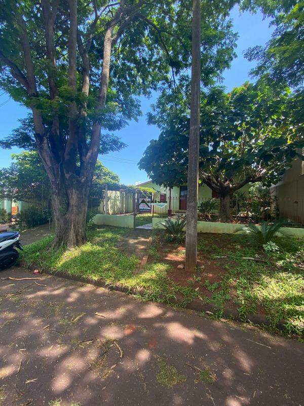 Casa para aluguel no Higienopolis: 