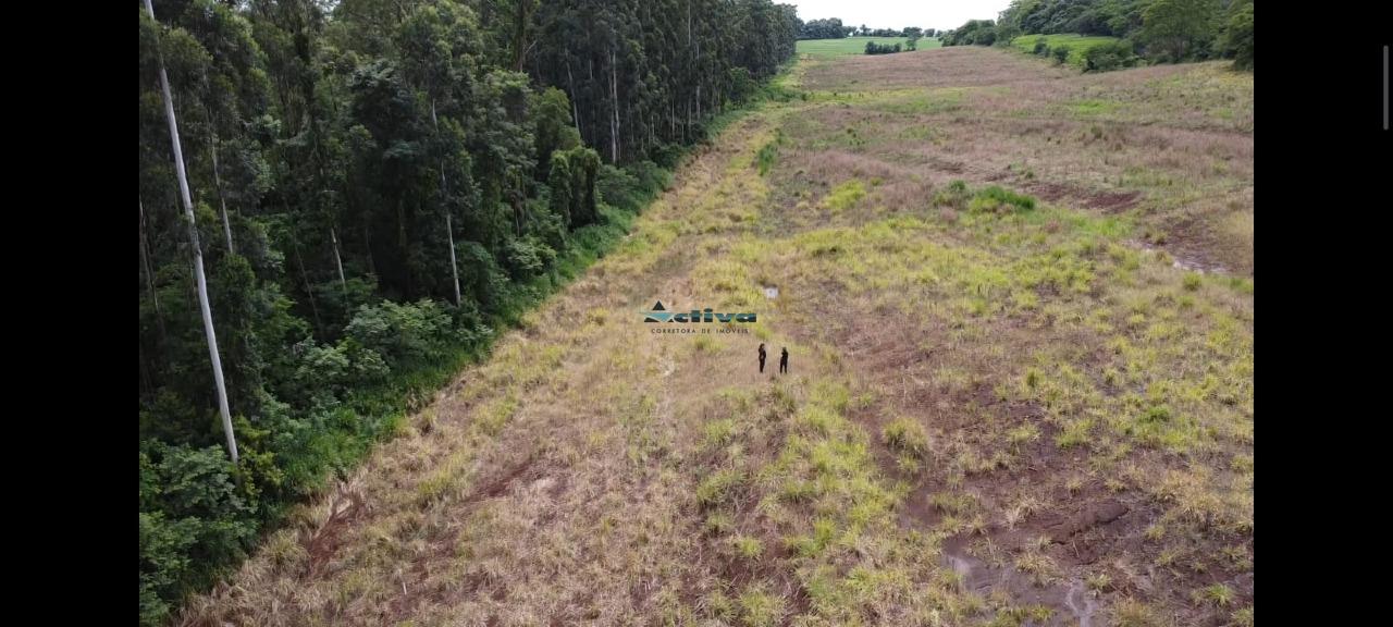 Sítio à venda no Linha Ajuricaba: 