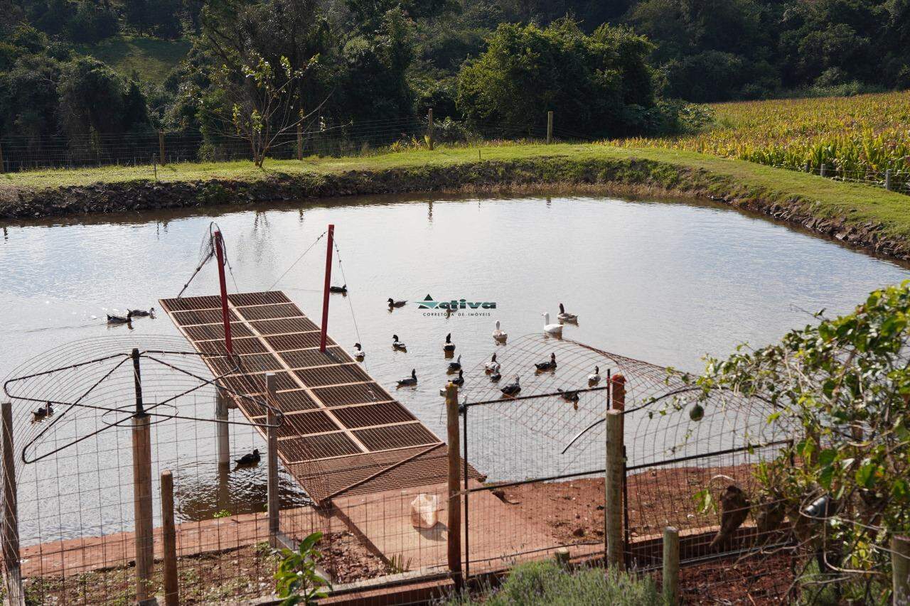 Chácara à venda no Linha Quinta das Seleções: 