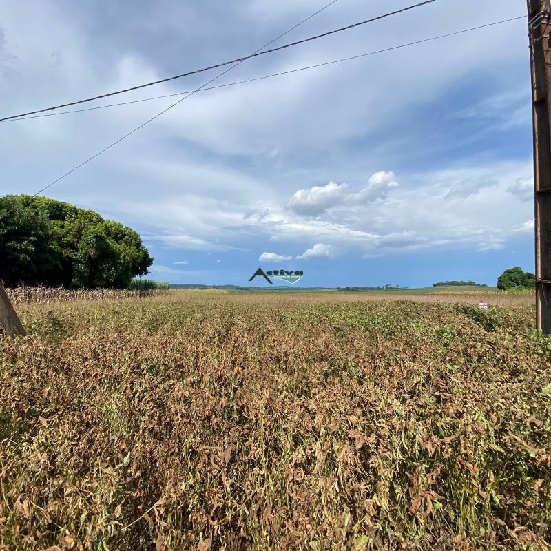 Lote à venda no Centro (Bom Jardim): 