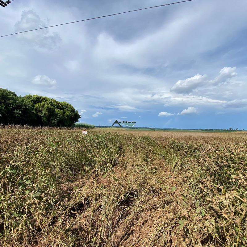 Lote à venda no Centro (Bom Jardim): 