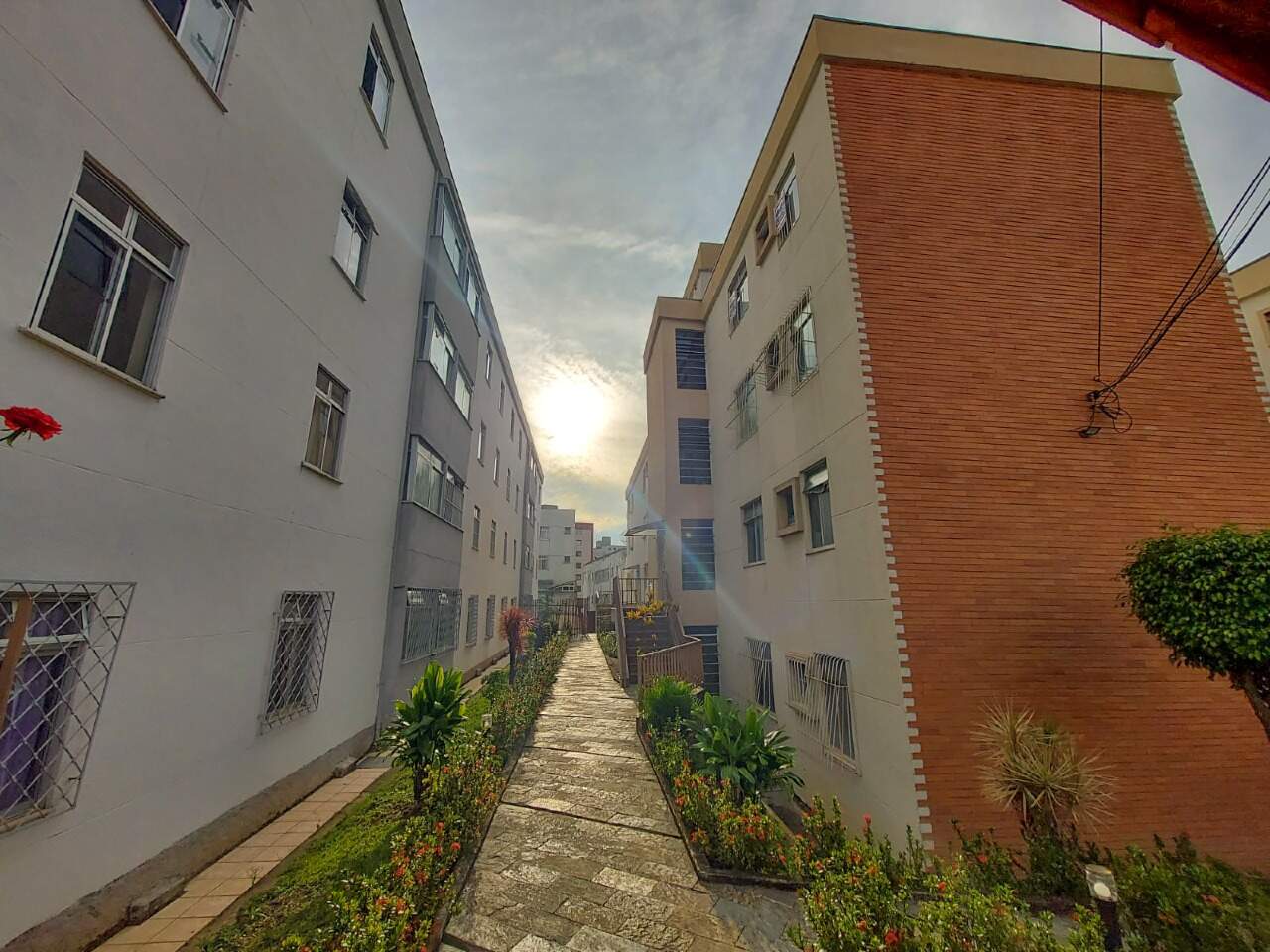 Apartamento para aluguel no Santa Efigênia: 