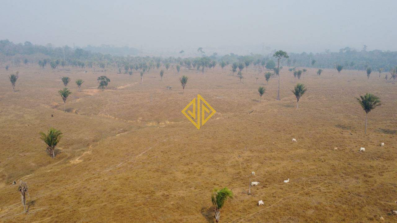 Fazenda à venda, 100m² - Foto 5