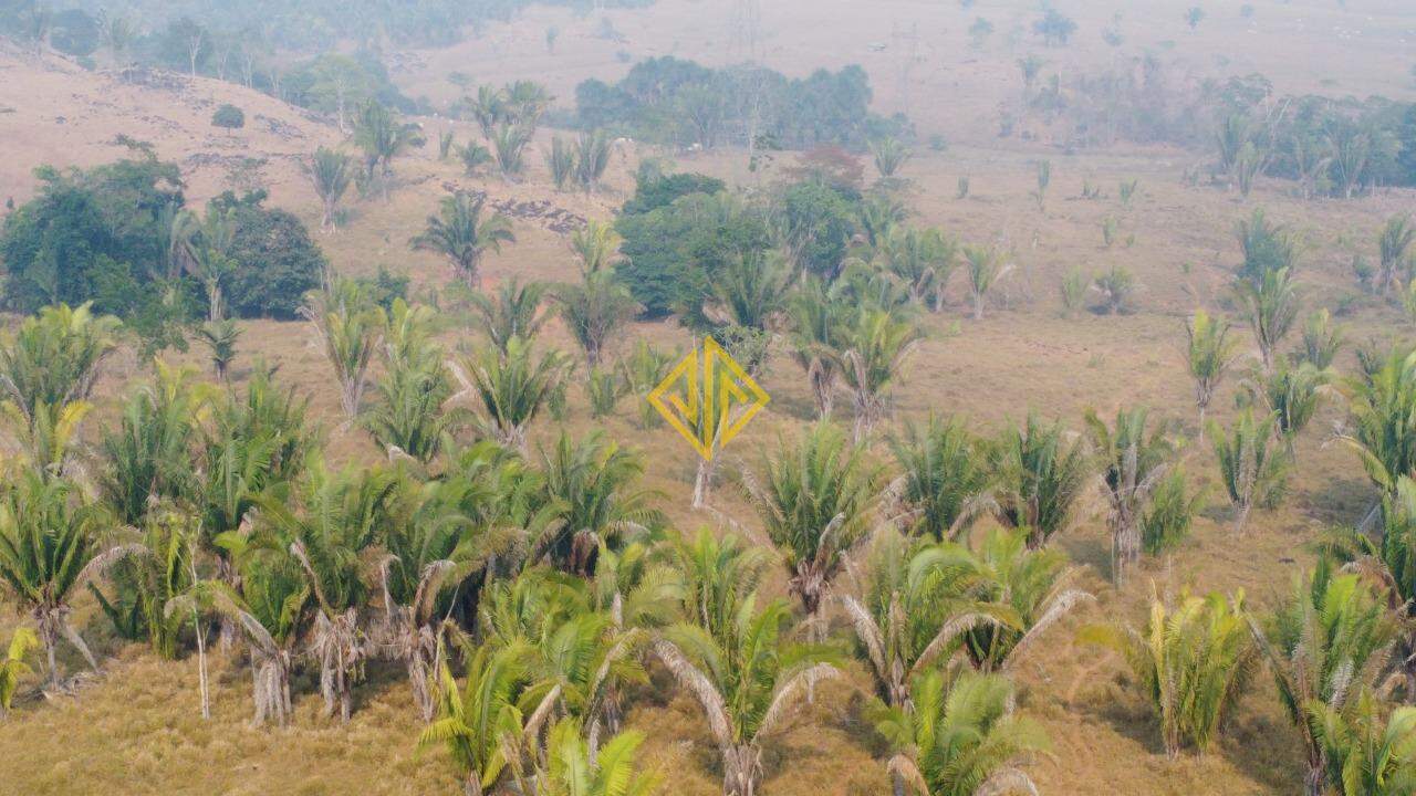 Fazenda à venda, 100m² - Foto 21