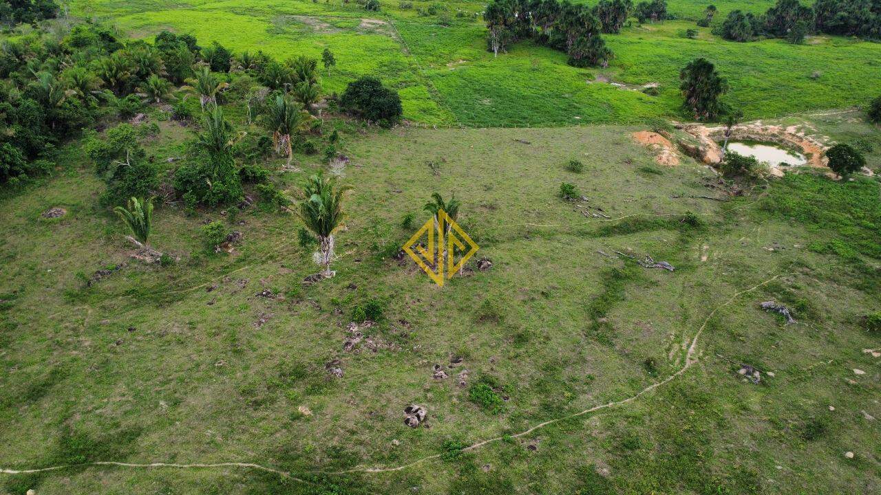 Fazenda à venda com 2 quartos, 19360m² - Foto 6