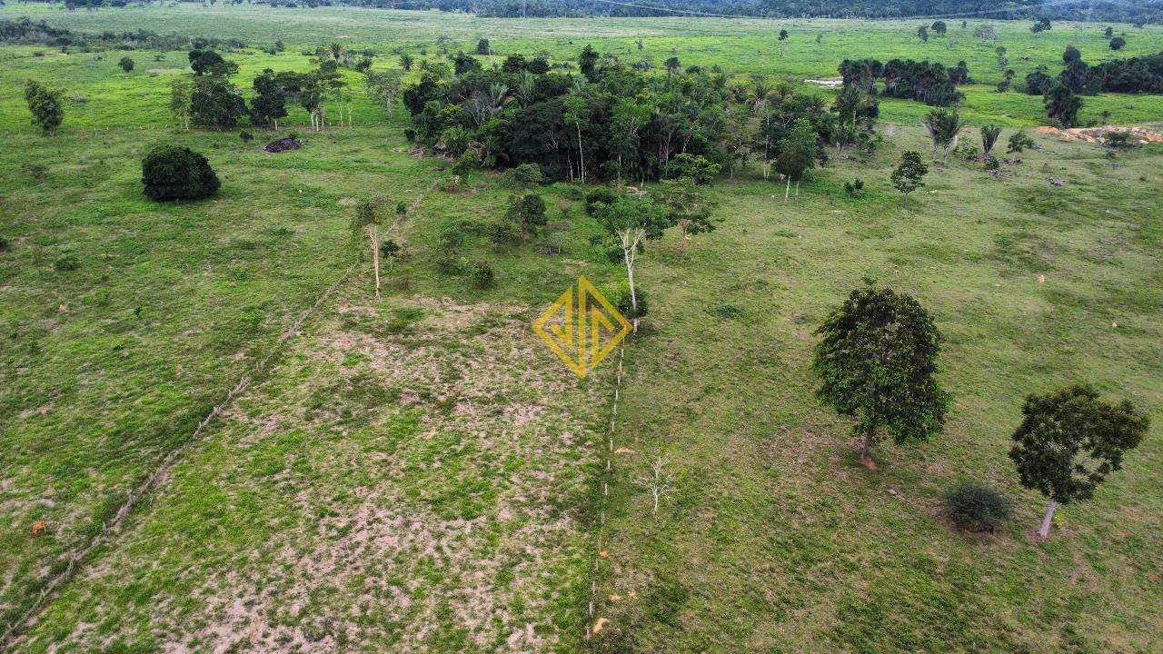 Fazenda à venda com 2 quartos, 19360m² - Foto 5