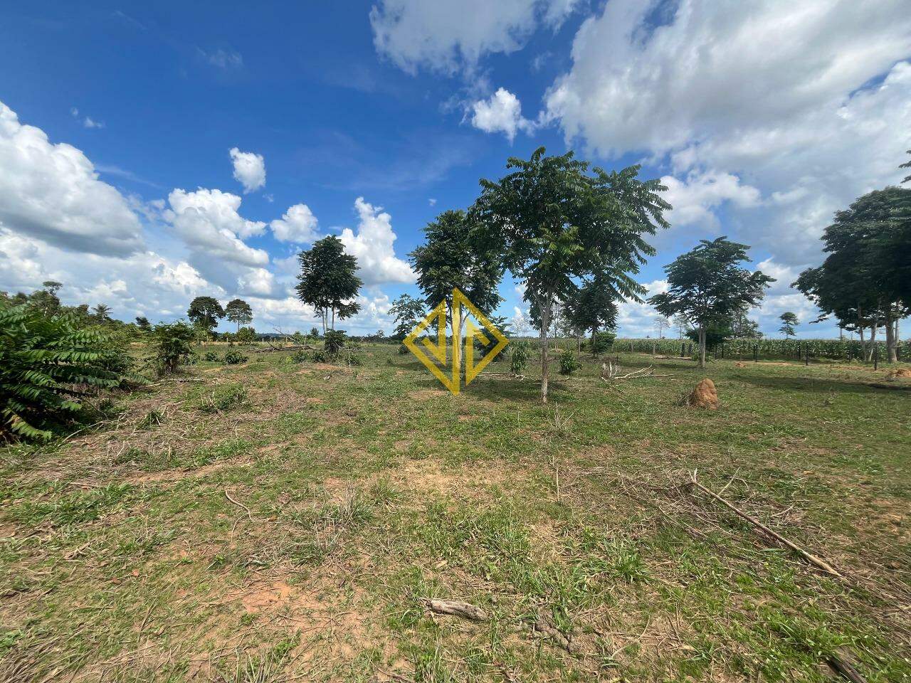 Fazenda à venda com 1 quarto, 68400m² - Foto 12