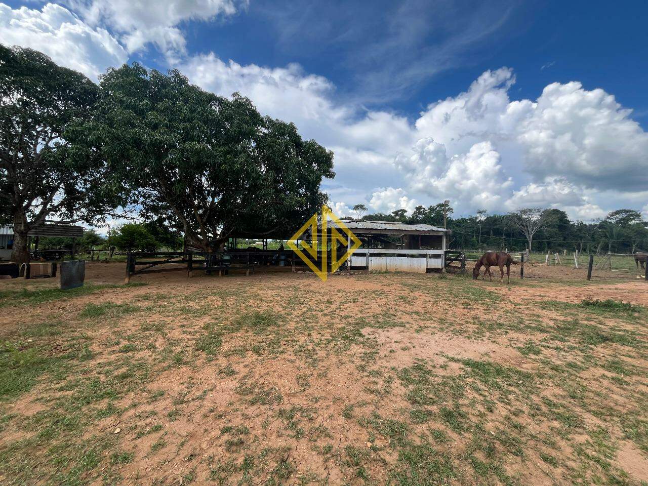 Fazenda à venda com 1 quarto, 7m² - Foto 4