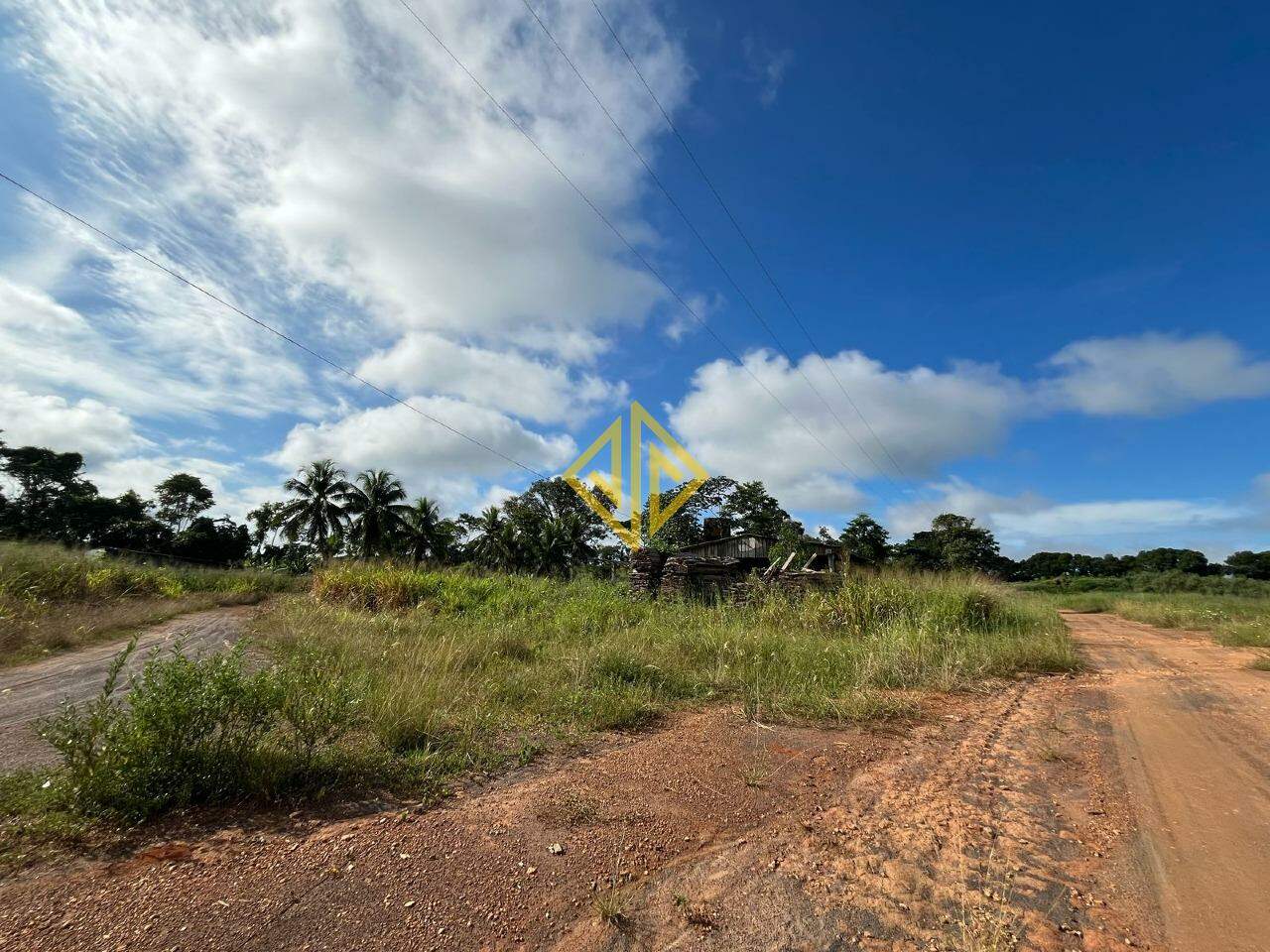 Terreno, 4 hectares - Foto 7