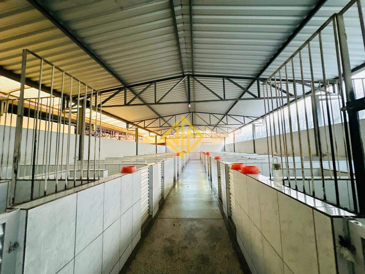 Depósito-Galpão-Armazém à venda, 1236m² - Foto 14