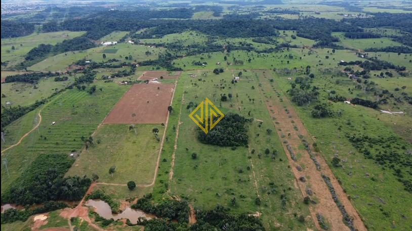 Sítio, 22 hectares - Foto 3