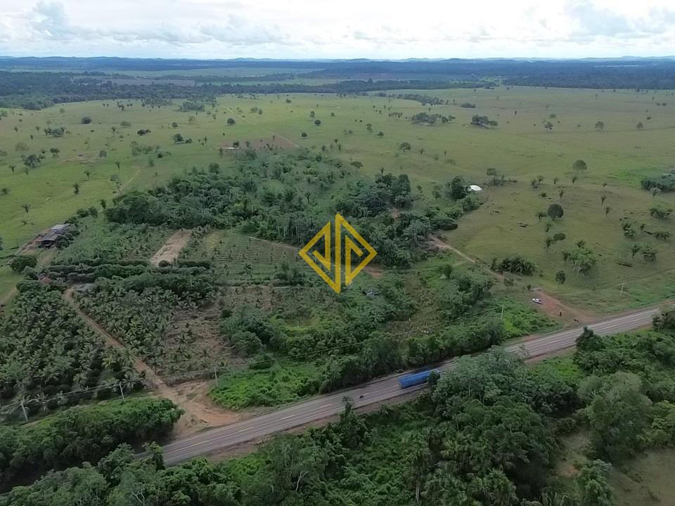 Chácara, 2 hectares - Foto 4