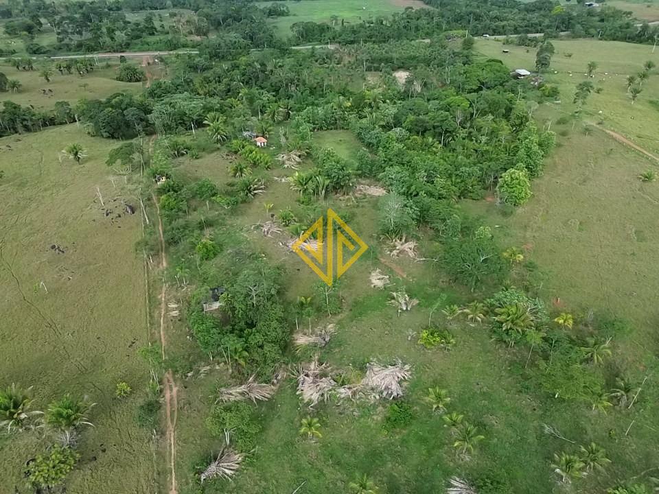 Chácara, 2 hectares - Foto 7