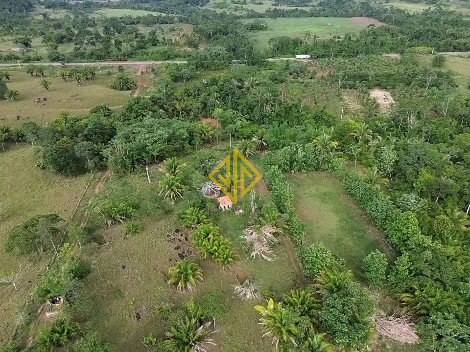 Chácara, 2 hectares - Foto 5