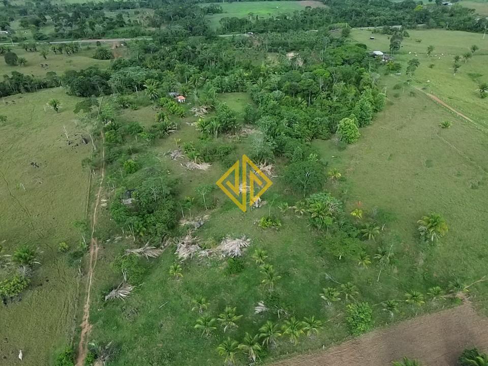 Chácara, 2 hectares - Foto 8