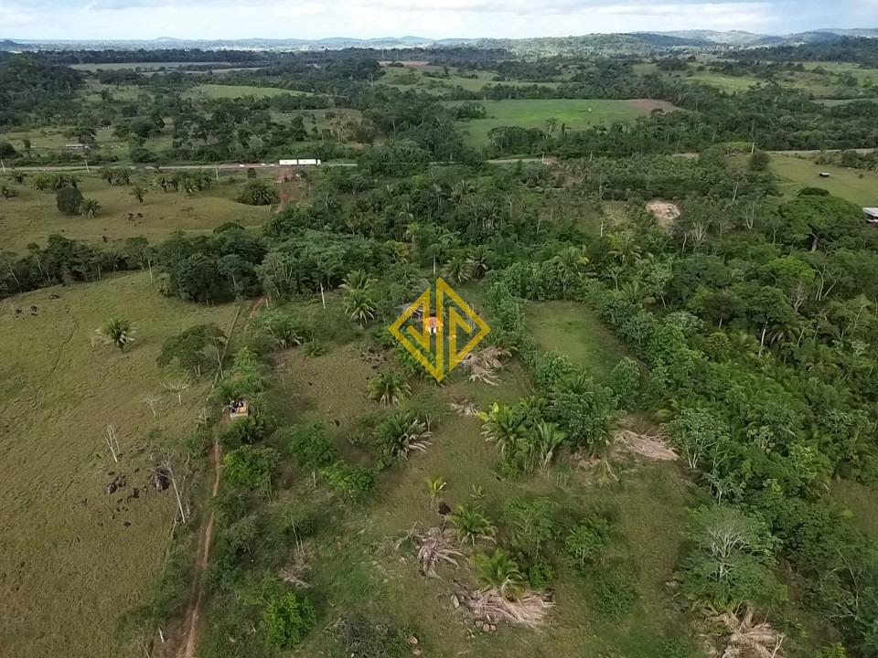 Chácara, 2 hectares - Foto 6