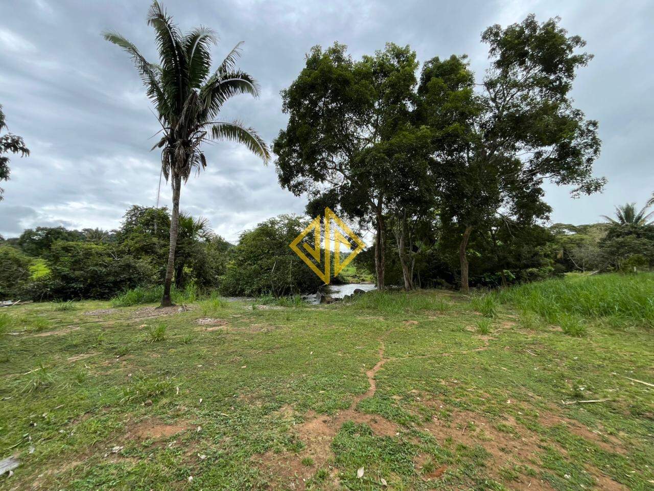 Sítio, 7 hectares - Foto 14