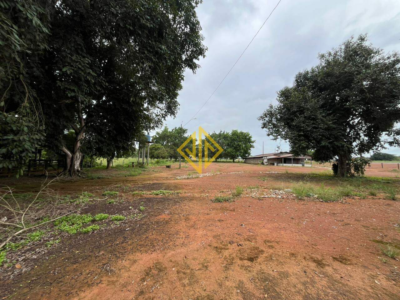 Sítio, 7 hectares - Foto 19