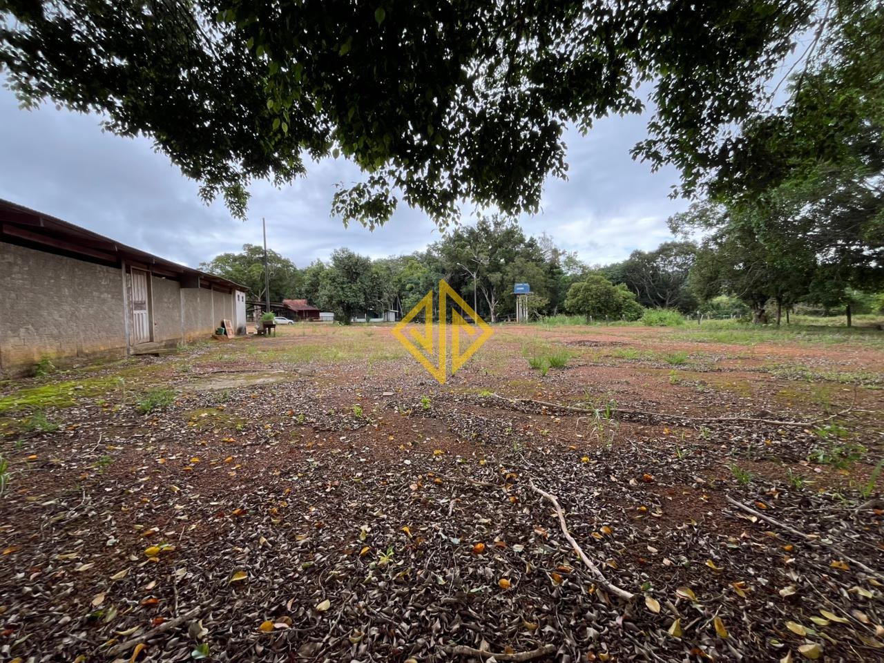 Sítio, 7 hectares - Foto 4