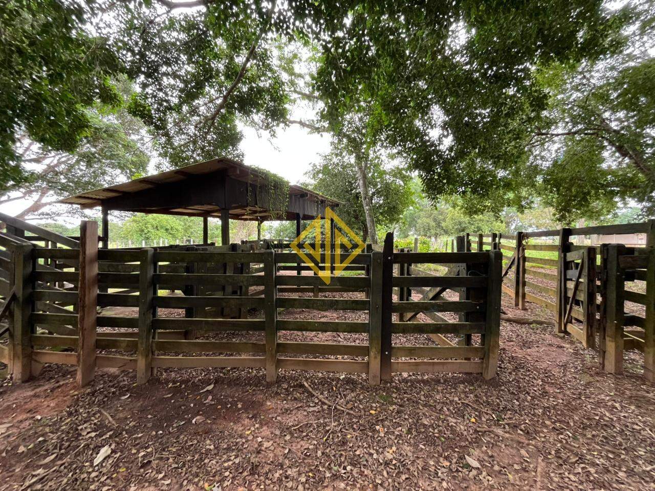 Sítio, 7 hectares - Foto 21