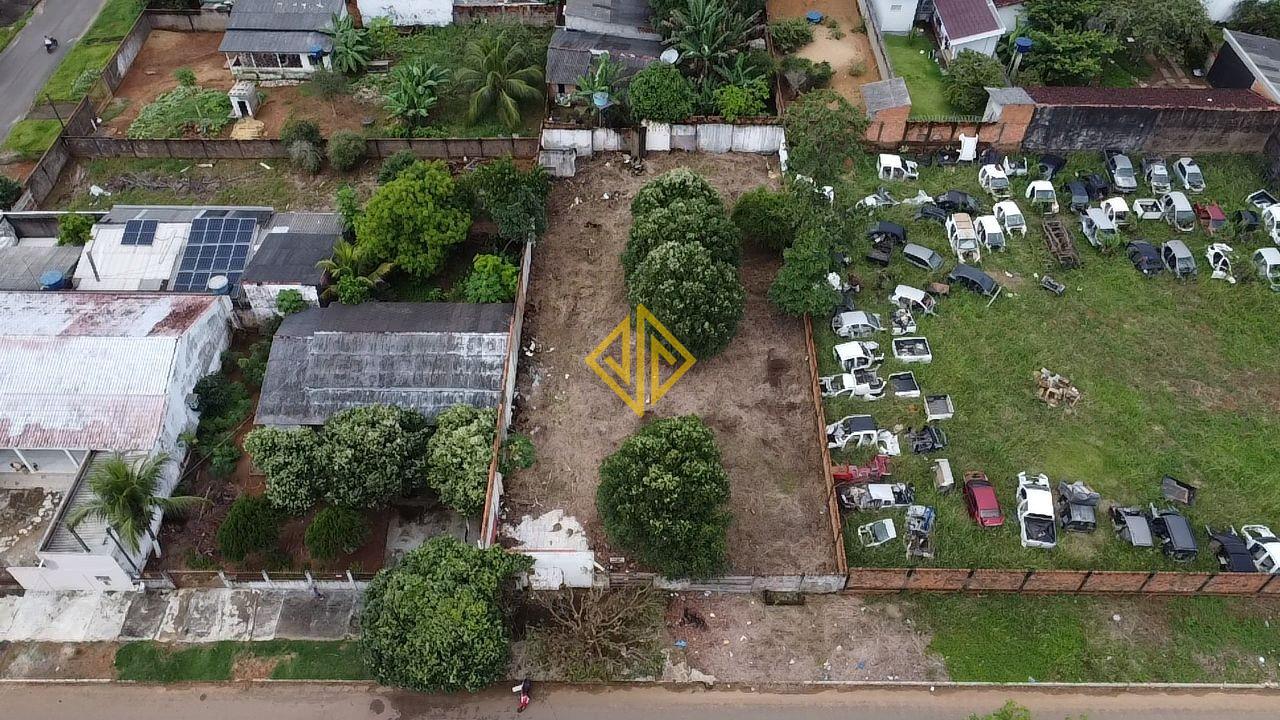 Terreno à venda no Jardim das Palmeiras: 