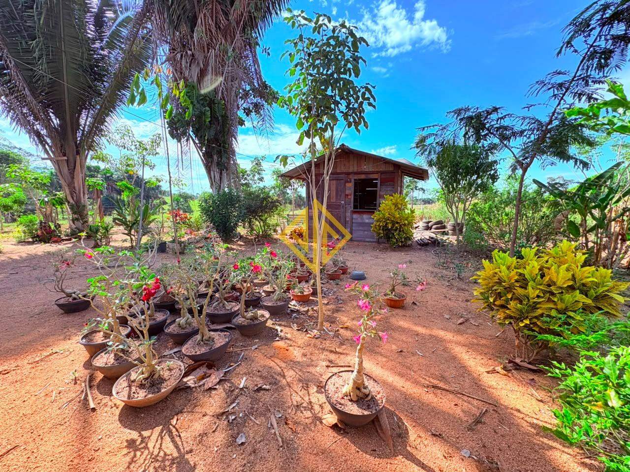 Chácara à venda no Área Rural de Ariquemes: 