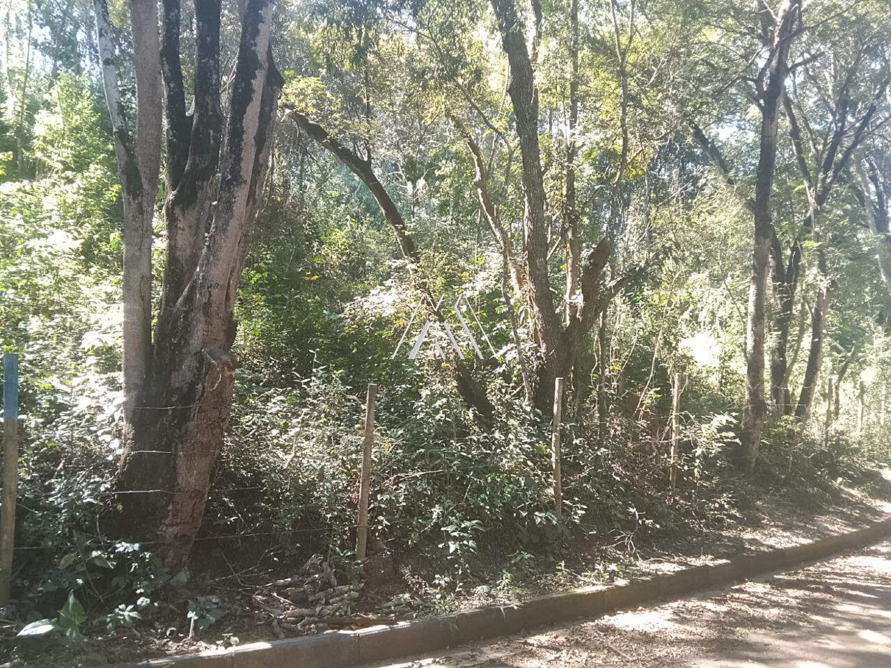 Chácara Rural sem construção à venda no Parque do Itatiaia: 