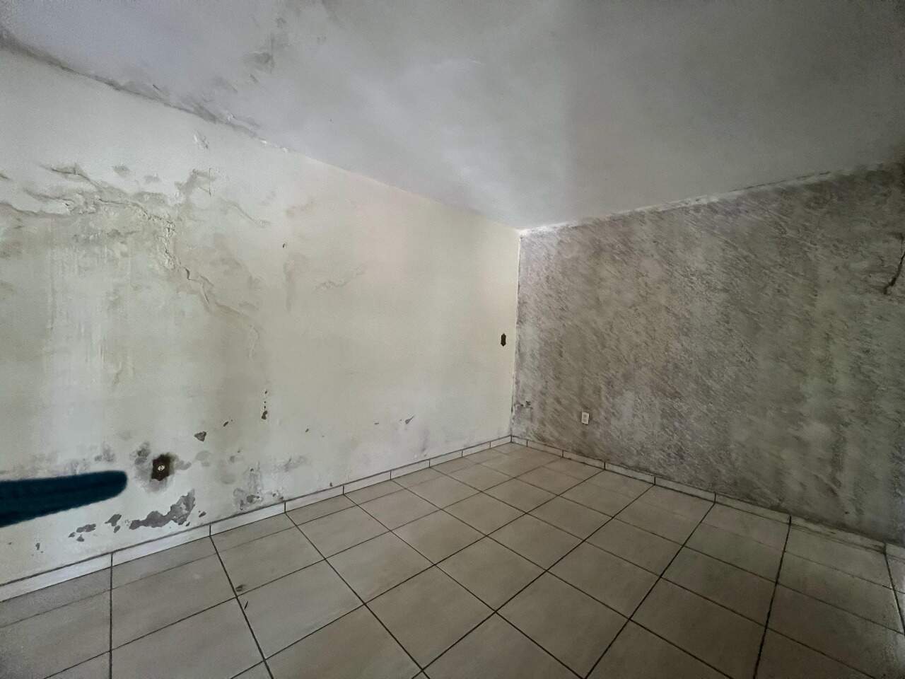 Casa para aluguel no Vila Mozart: 