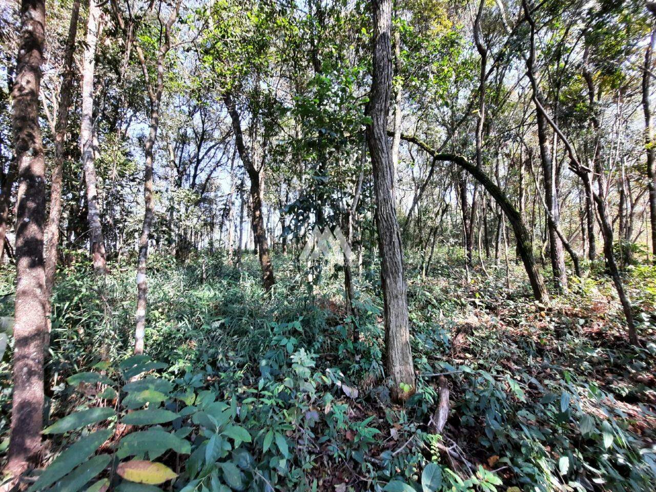 Chácara Rural com construção para aluguel no Ponta da Serra: 