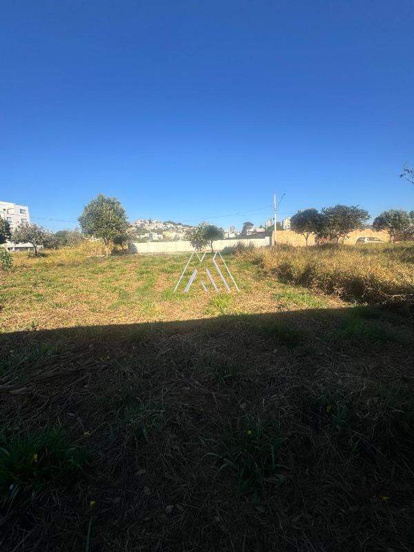 Lotes à venda no Aurora Village: 