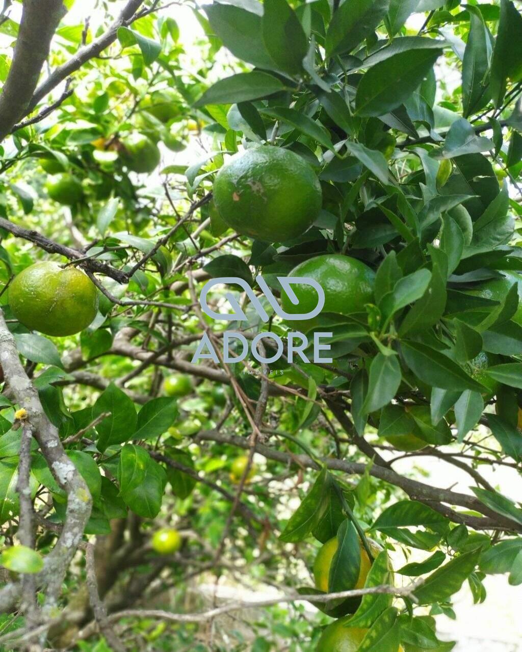 Casa de Condomínio à venda no Condomínio Fechado Piccolo Paese: 