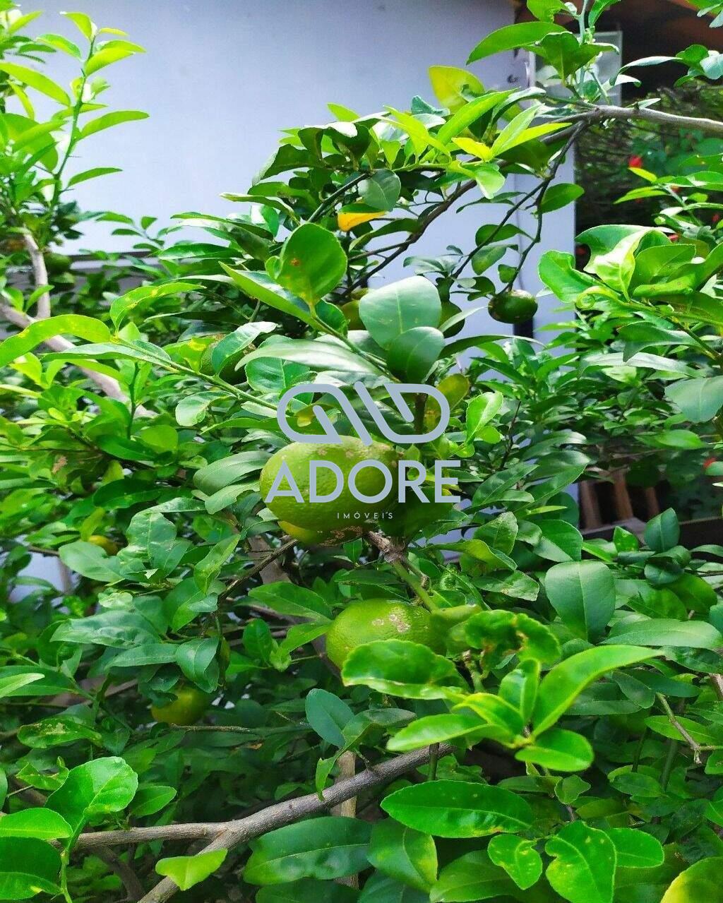 Casa de Condomínio à venda no Condomínio Fechado Piccolo Paese: 