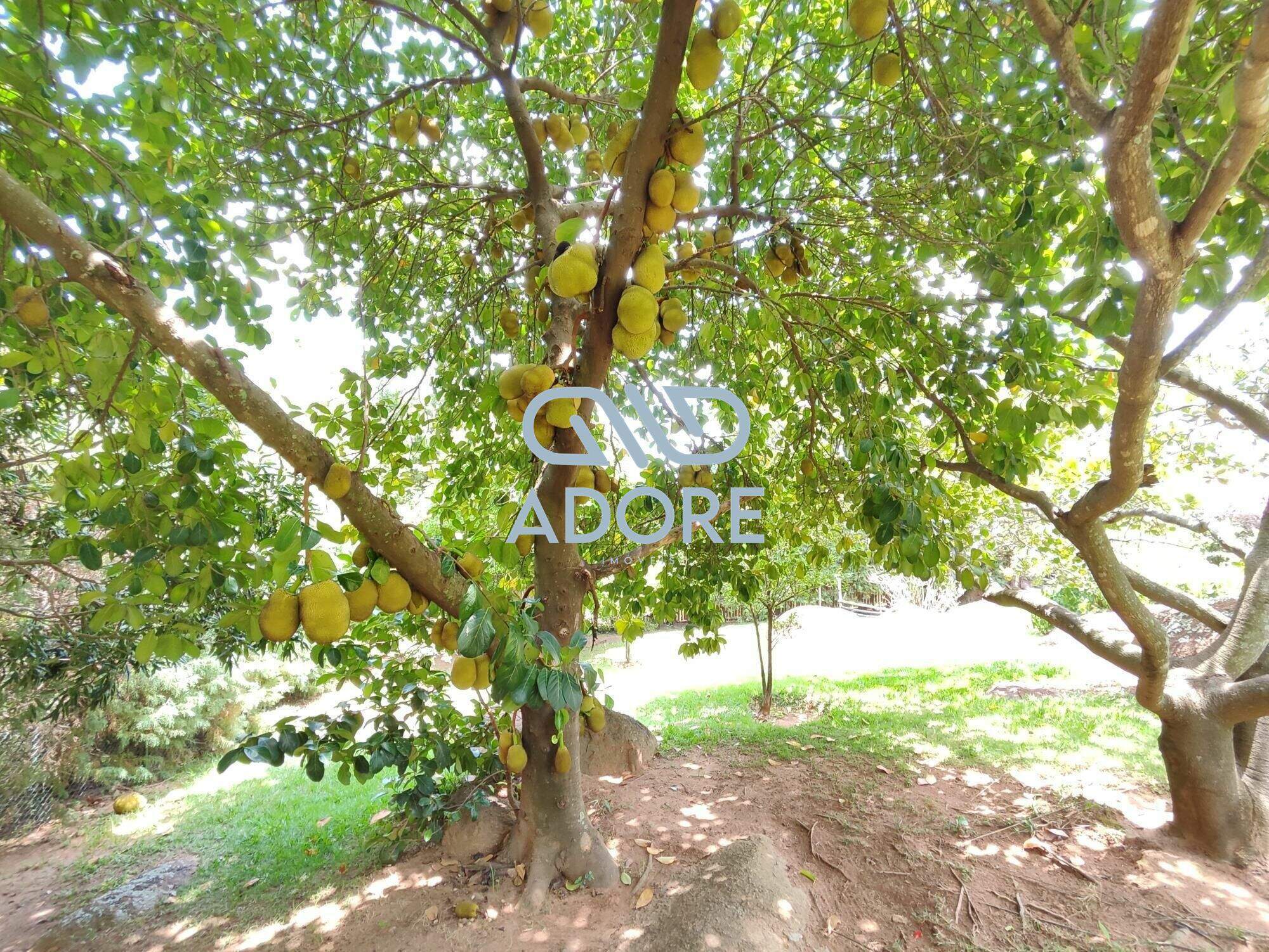 Casa de Condomínio à venda no Condomínio Monte Belo: 