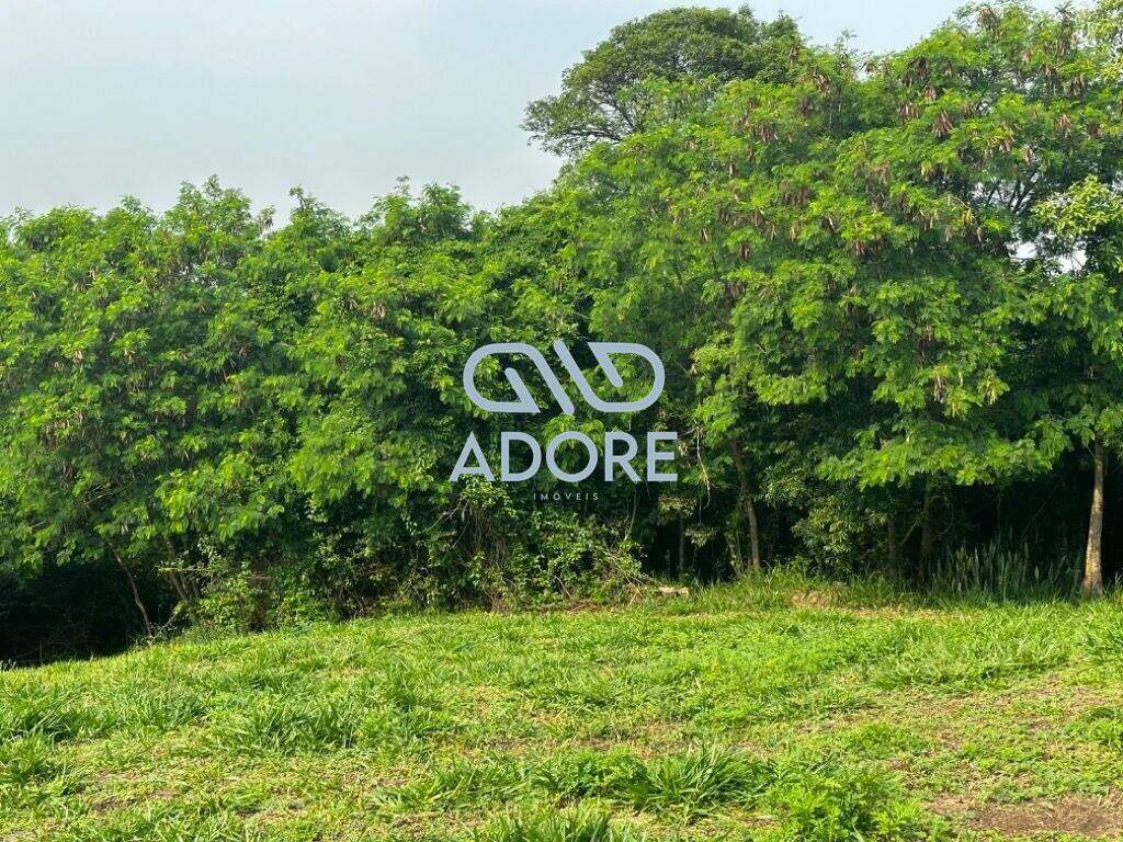 Área Rural à venda no Jardim Celani: 