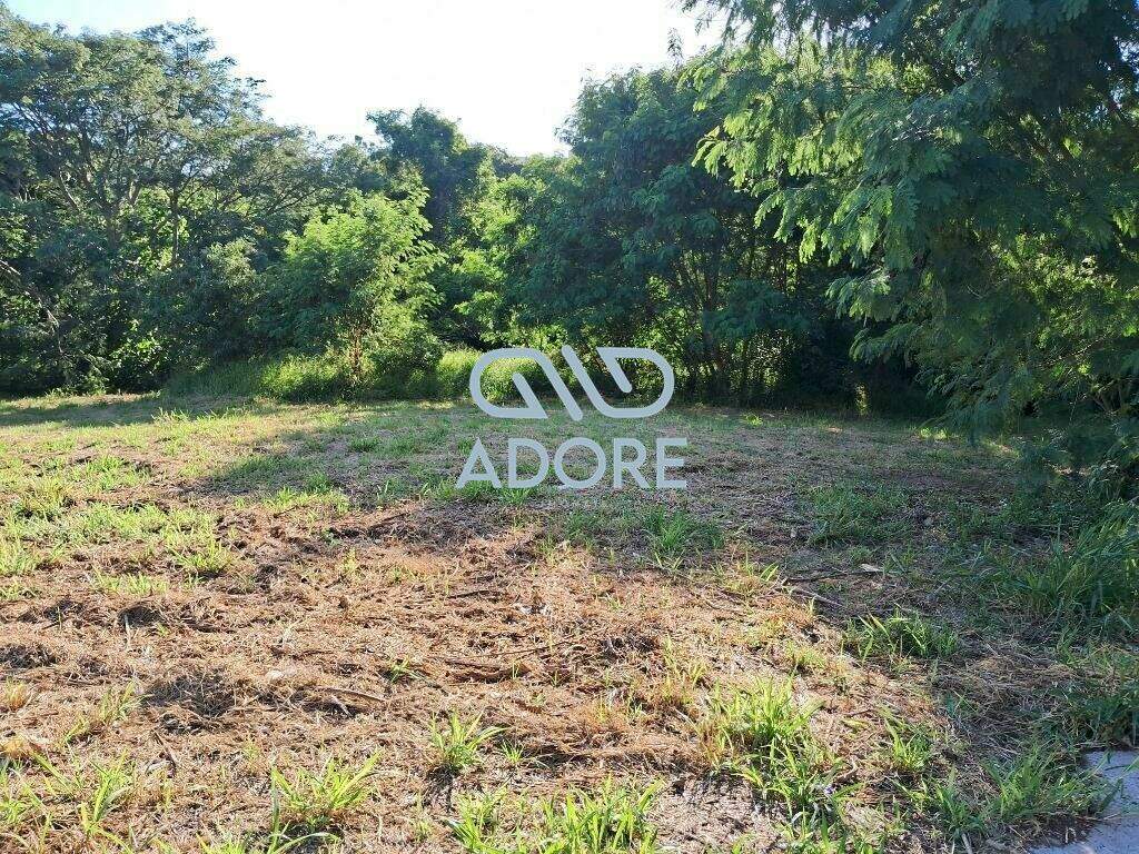 Área à venda no Jardim Elizabeth: 